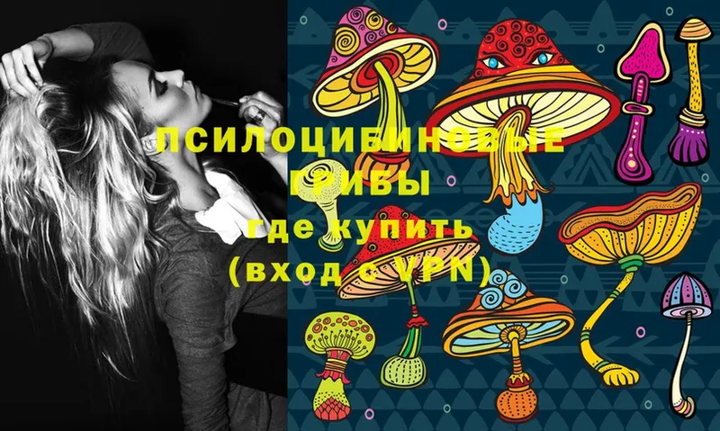 Галлюциногенные грибы Magic Shrooms  Бодайбо 